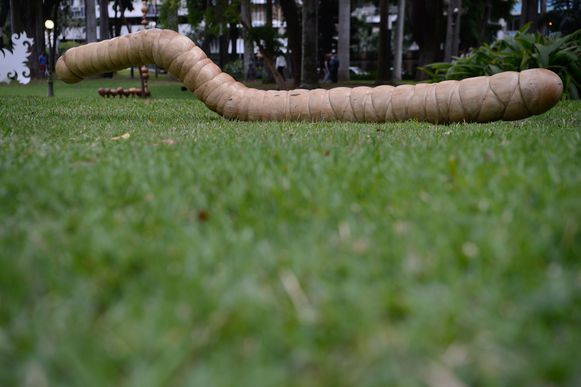 Rio de Janeiro - A obra Habitante, de Marcos Duarte, é parte das intervenções de arte contemporânea nos jardins do Palácio do Catete durante a feira ArtRio (Fernando Frazão/Agência Brasil)