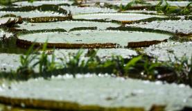 1061855-16.01.2016_mcmag_abr-9390