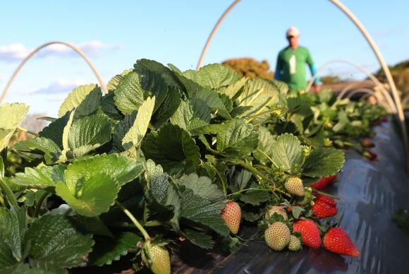 1089291-vcapto_abr_2408172789_1