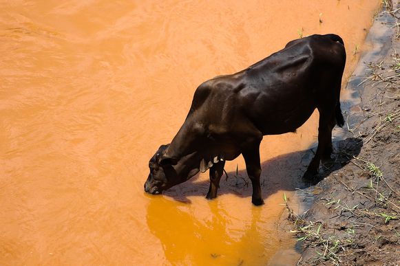 Barra Longa (MG) - Rio Gualaxo do Norte após dois anos da tragédia do rompimento da Barragem de Fundão da Samarco  (José Cruz/Agência Brasil)