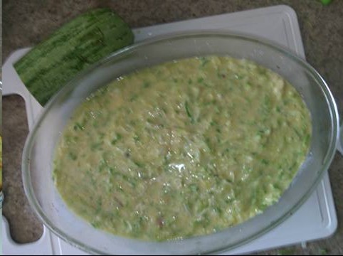 11800218_448029445403326_7452522403398431390_n (1)