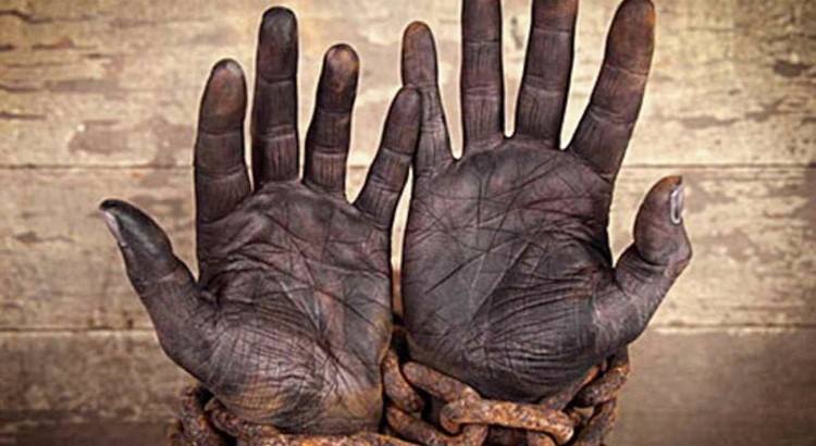 14459688_1183254375050844_881360440_n