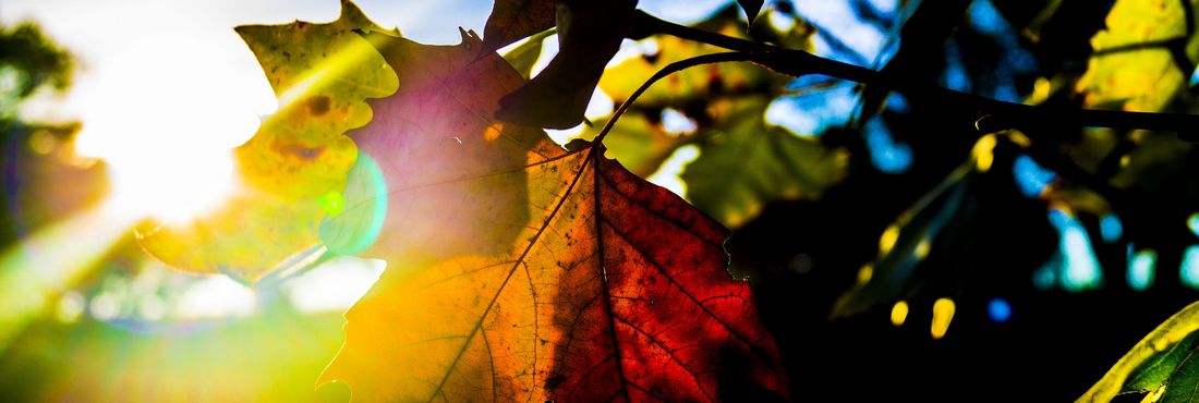 14535650687_8c892d9486_k