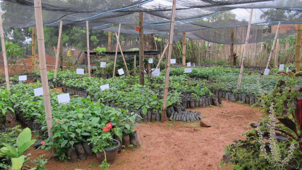 1912024_596748970407848_557091612_n