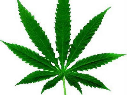 2008-010381-_20080129