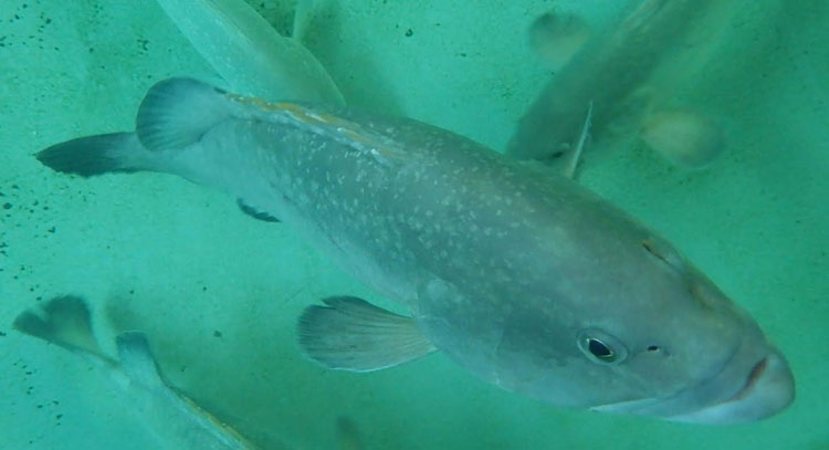 20150122113810936712i