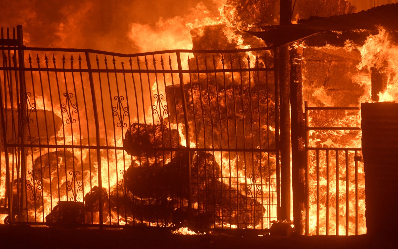 2017-12-06t002513z-1699161258-rc13552e4d60-rtrmadp-3-usa-wildfires