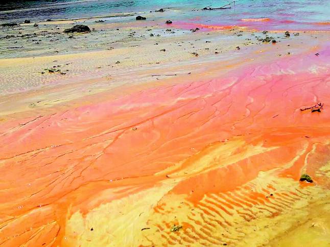 29133405_1572029136216142_3386749246685315072_n