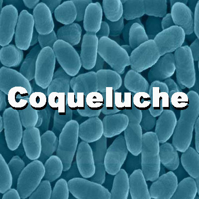 30-09-2013_15_08_20_