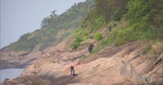 34779124_591228487913300_4944359681070989312_n