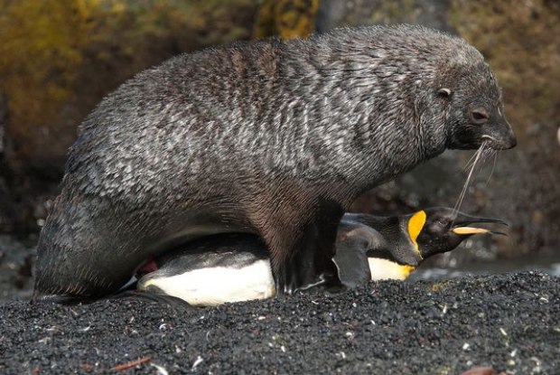 3rregkogiukhq64hn8l9gf9qv