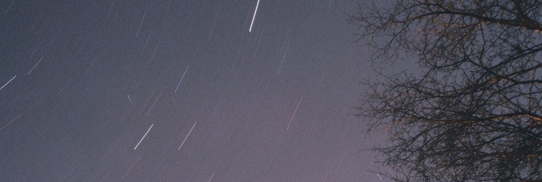 502554347_f0a66a5700_b