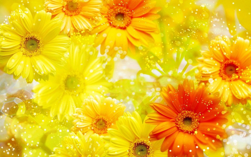 693738__background-flowers-yellow-beautiful-wallpaper_p