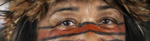 Ato-Indigena-contra-PEC215-•-17032015-•-Brasília-DF-9-1080x675