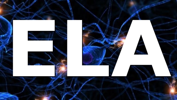 ELA.neuro01