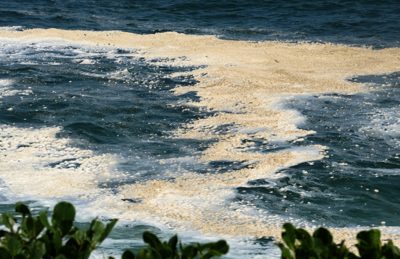 Espuma_Praias_RJ_Banhistas_0290