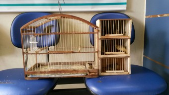 IMG-20141215-WA0002-340x191