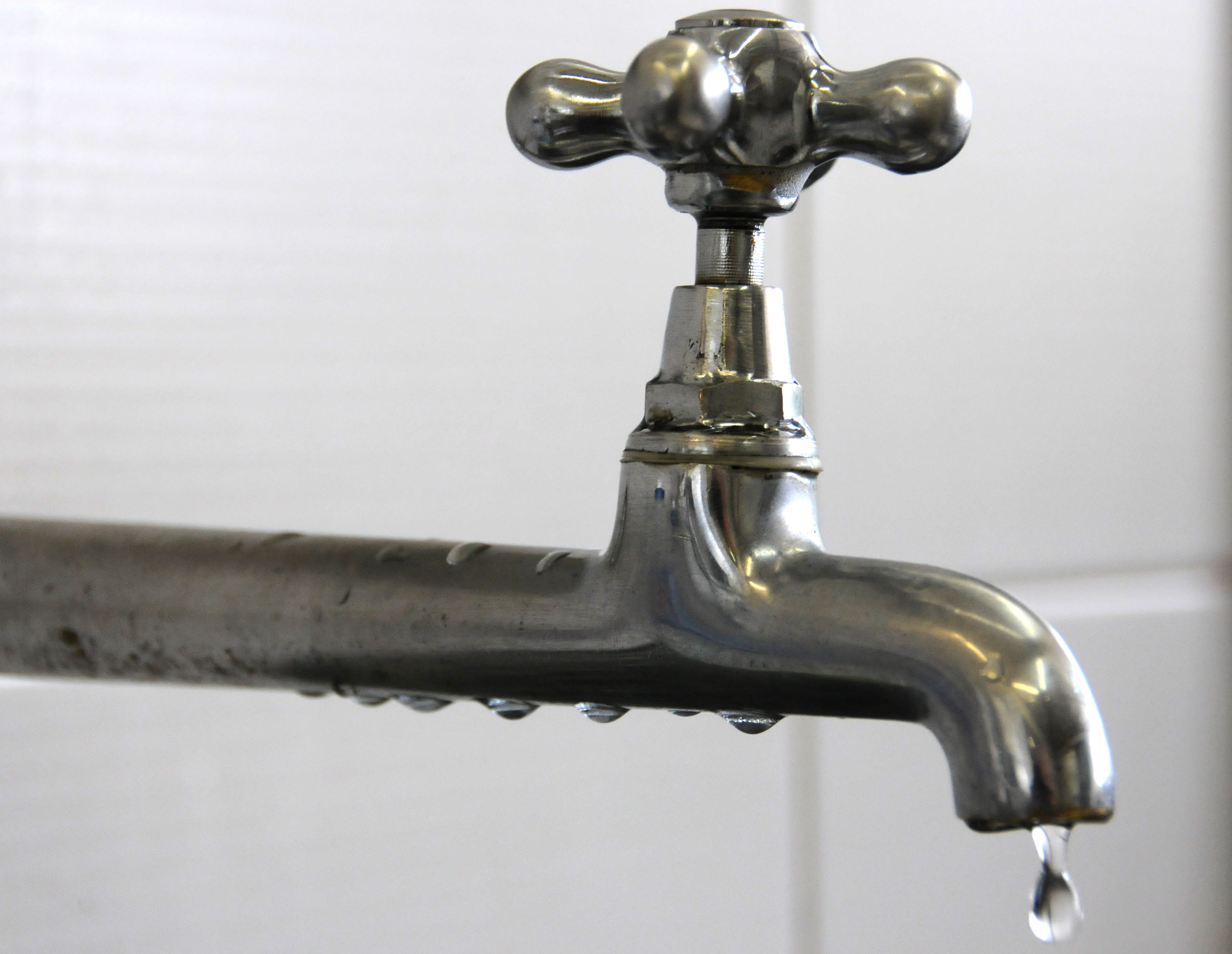 TORNEIRA-PINGANDODSC2 (1)