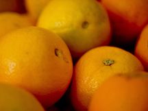 abr041013agenciabrasil_6