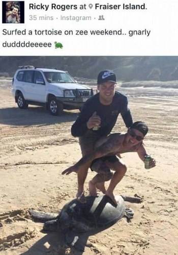 agcd7skguc4ymg0d03gsyxqhj