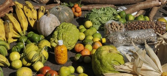 agricultura_familiar