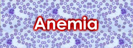 anemia1