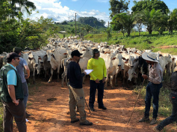 arquivos_589_conteudo_posts_762755_jpg_350_350_1_0__