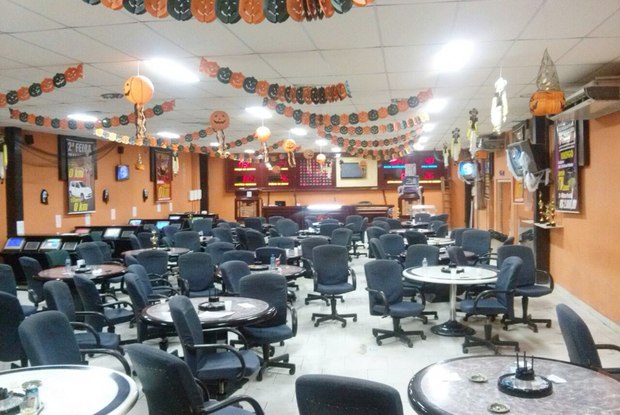 bu1qm97ffj1j9tmzjk49p6dfu