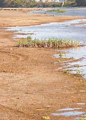 ci72cz7wr1q34ggaqtxefq55k