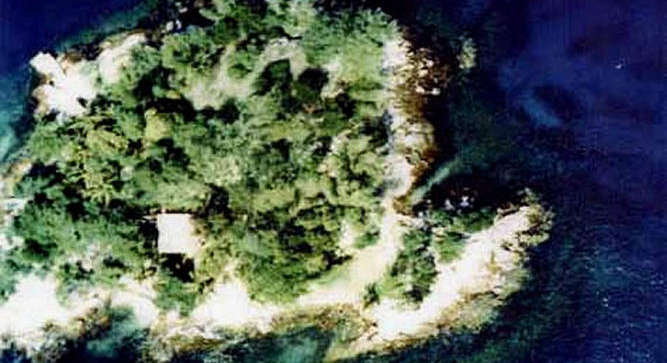 cimage_de086017b4-thumbb