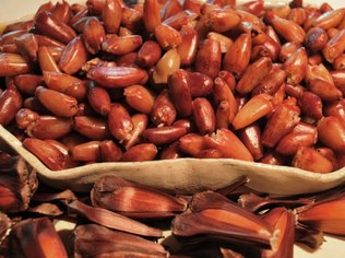 cm5fwolspix84267slnh01cqs