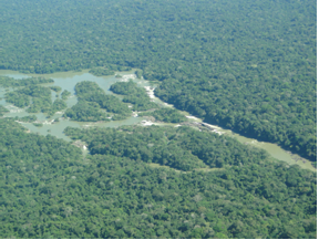 corredeiras do Rio Jamanxim