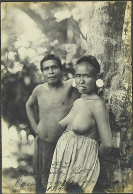 d34e3e58-2de4-48fd-a850-20a94060afb9