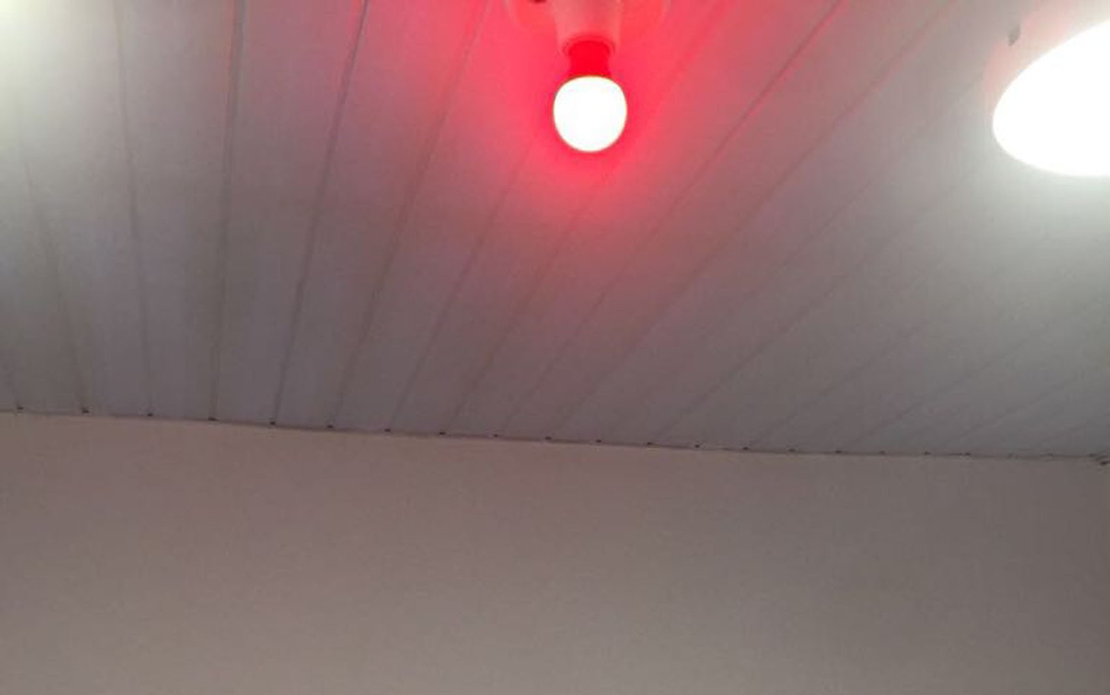 d95ae18651735bcd97c3191dabde910f