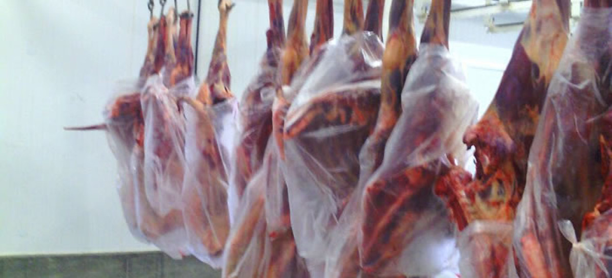 equideosd-1200x545_c