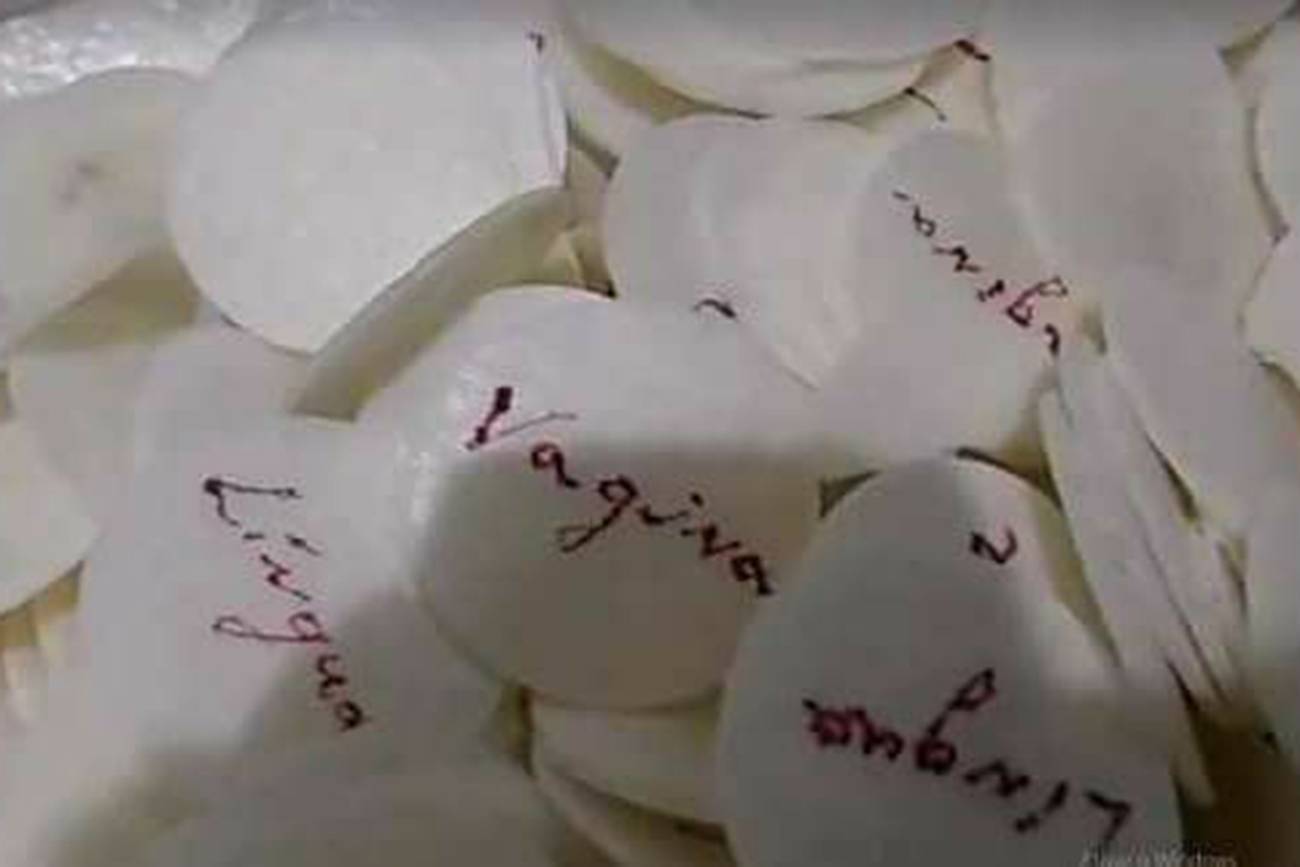 exposicao-queer-museu-20170911-003