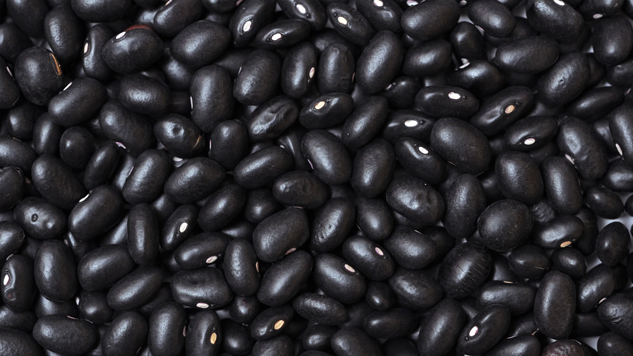 feijao-preto