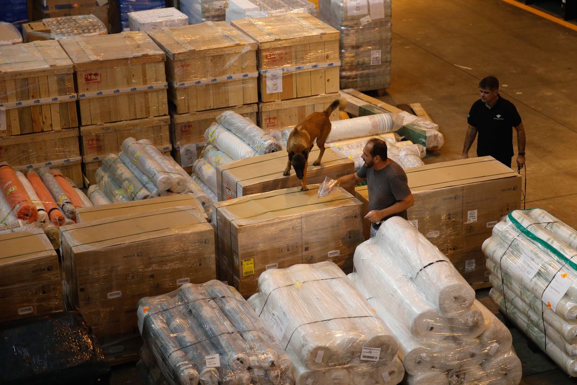 Cão farejador trabalha na apreensão de uma carga com 100kg de heroína e 50kg ácido pícrico, utilizado para fabricação de explosivos, no Terminal de Cargas do Aeroporto Internacional Tom Jobim/Galeão.