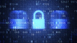 hollywood_alert_security