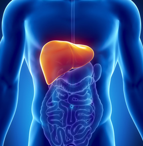 img-primeira resseccao-de-tumor-hepatico