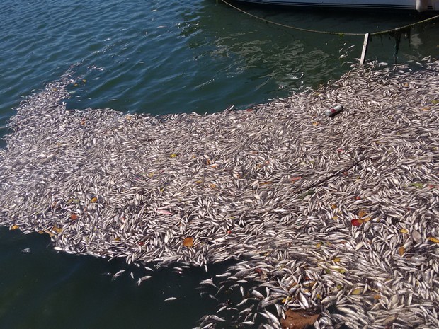 img_20150305_0936254401