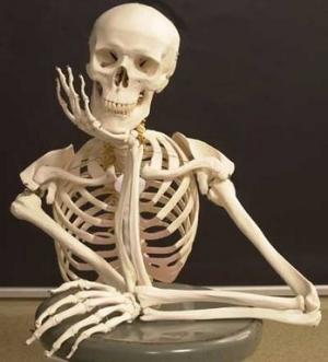 img_quais_sao_as_funcoes_do_esqueleto_10197_300aass