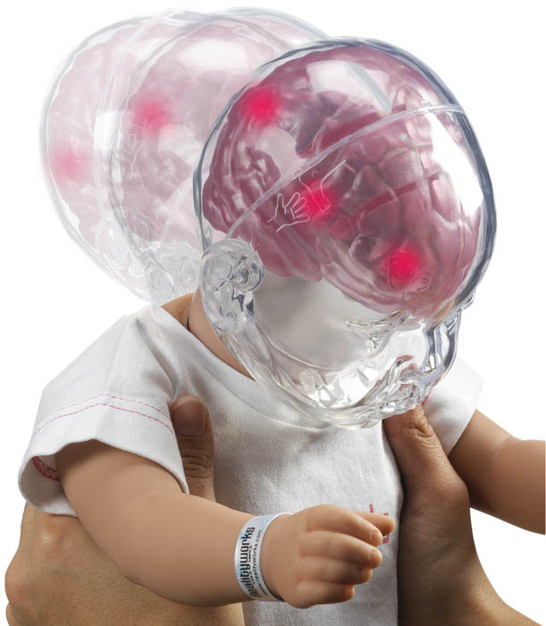 noticia_374447_img1_sac1