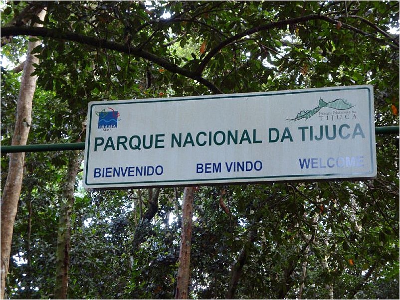 send_binary_fotos-noticia-2011.asp