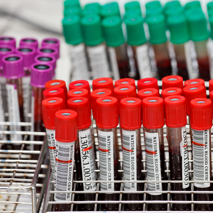 shutterstock_126671477