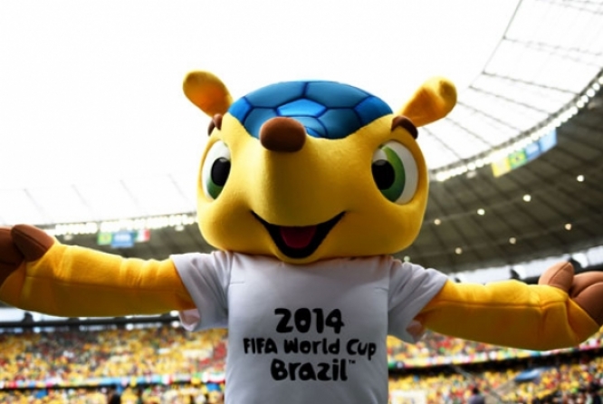 thumb-150628-fuleco-resized