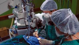 tranplantes_vale_esta