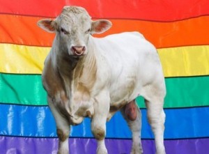 ximagem_noticia_5.jpg.pagespeed.ic.vwfh_oo_rl